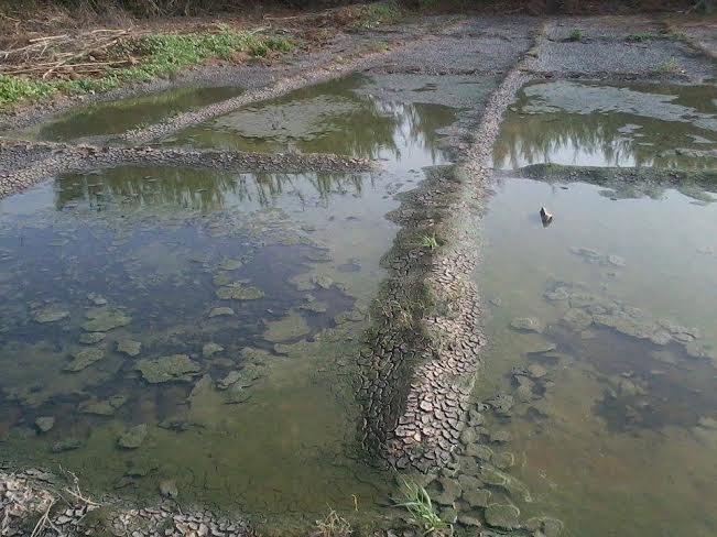 Sorry! Image not available at this time